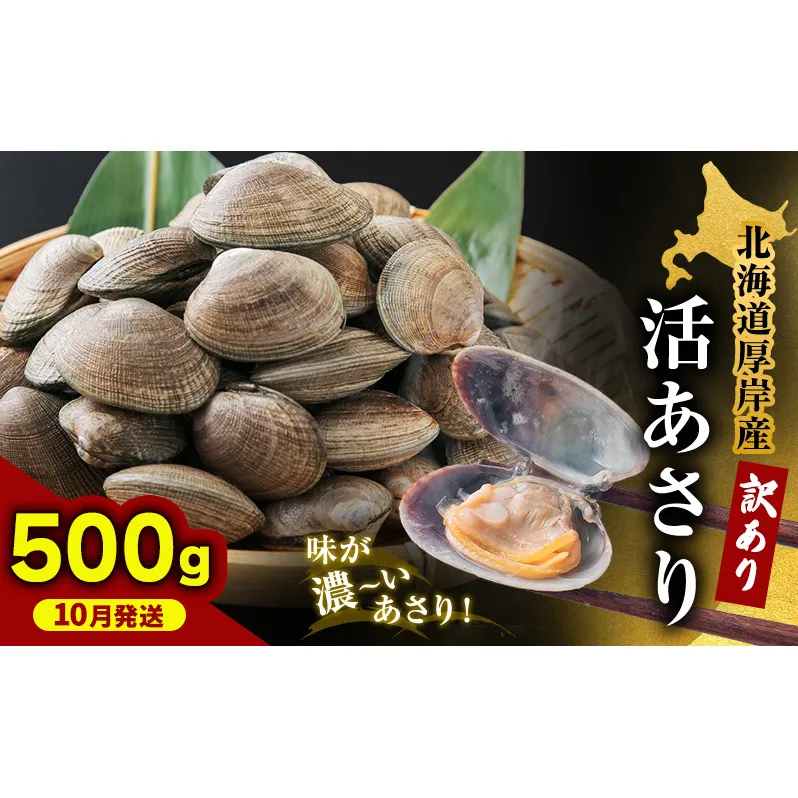 【5月1日以降寄付額改定↑】10月発送 北海道 厚岸産 訳あり 活あさり 500g  アサリ 魚貝 海鮮 大粒 美味しい 栄養 旨み 砂出し 水洗い 冷蔵 冷凍保存可能 便利