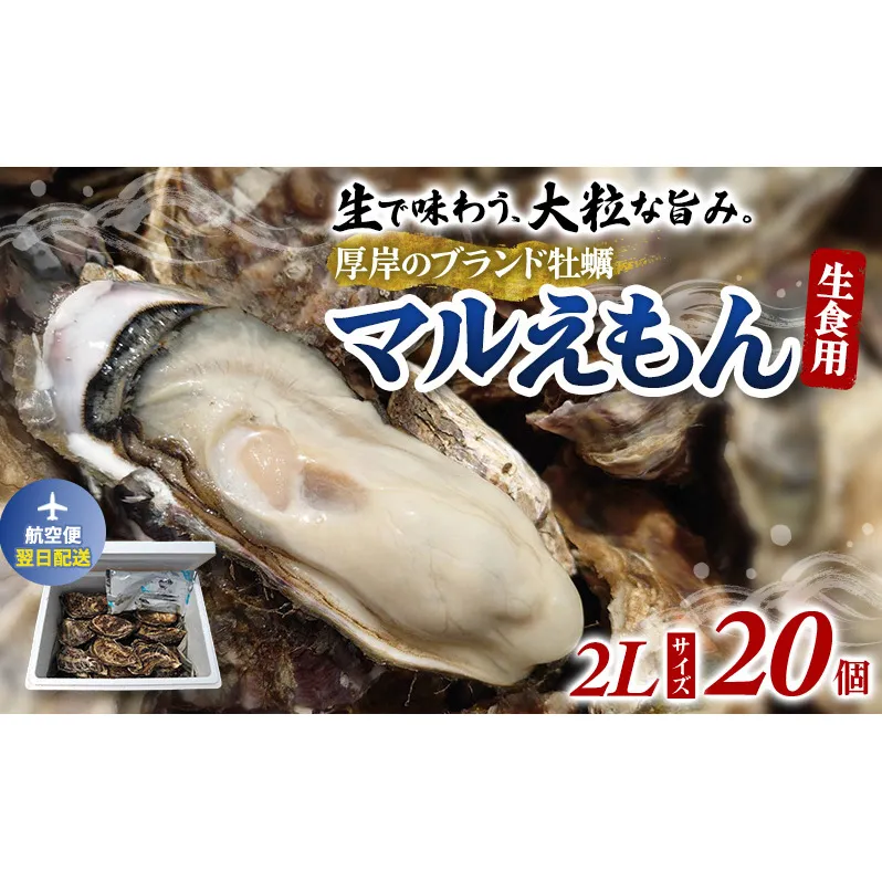 翌日配送 航空便 厚岸のブランド牡蠣 マルえもん 2Lサイズ 20個 [ 牡蠣 生食用 魚貝類 海鮮 海のミルク 国産 生食用殻付き牡蠣 まろやか クリーミー  牡蠣の酒蒸し 焼き牡蠣 マルえもん ]