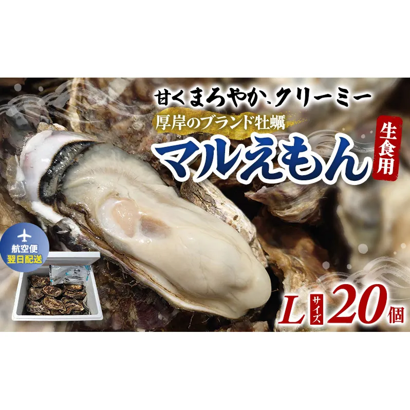 翌日配送 航空便 厚岸のブランド牡蠣 マルえもん Lサイズ 20個 [ 牡蠣 生食用 魚貝類 海鮮 海のミルク 国産 生食用殻付き牡蠣 まろやか クリーミー  牡蠣の酒蒸し 焼き牡蠣 マルえもん ]