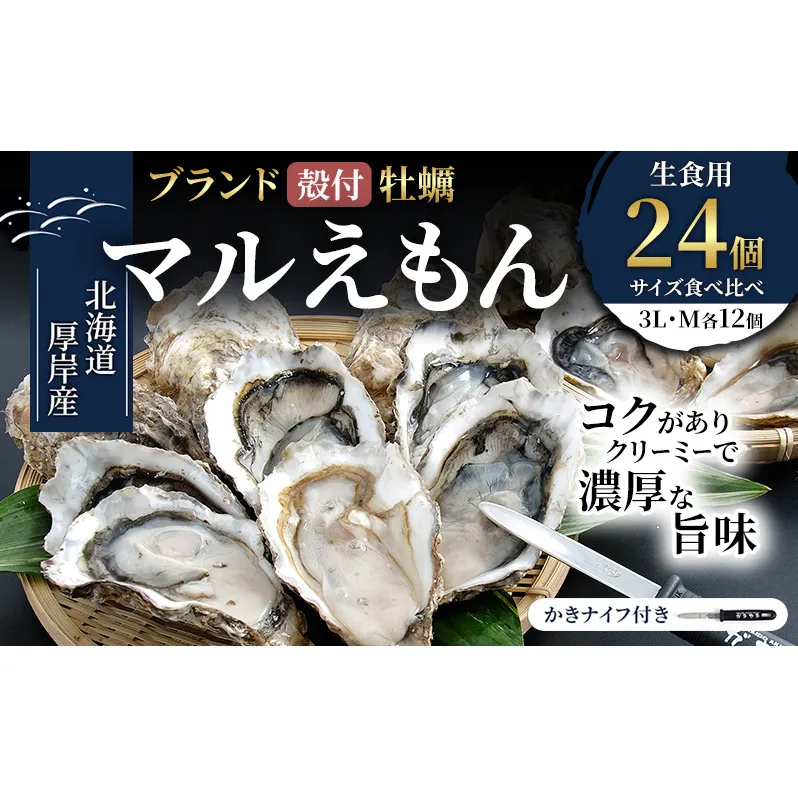 厚岸産 ブランド 殻付カキ マルえもん 生食用 サイズ食べ比べ 24個 (3L・M各12個)[ 魚貝類 生牡蠣 かき 牡蠣 カキ 生ガキ 食べ比べ ]
