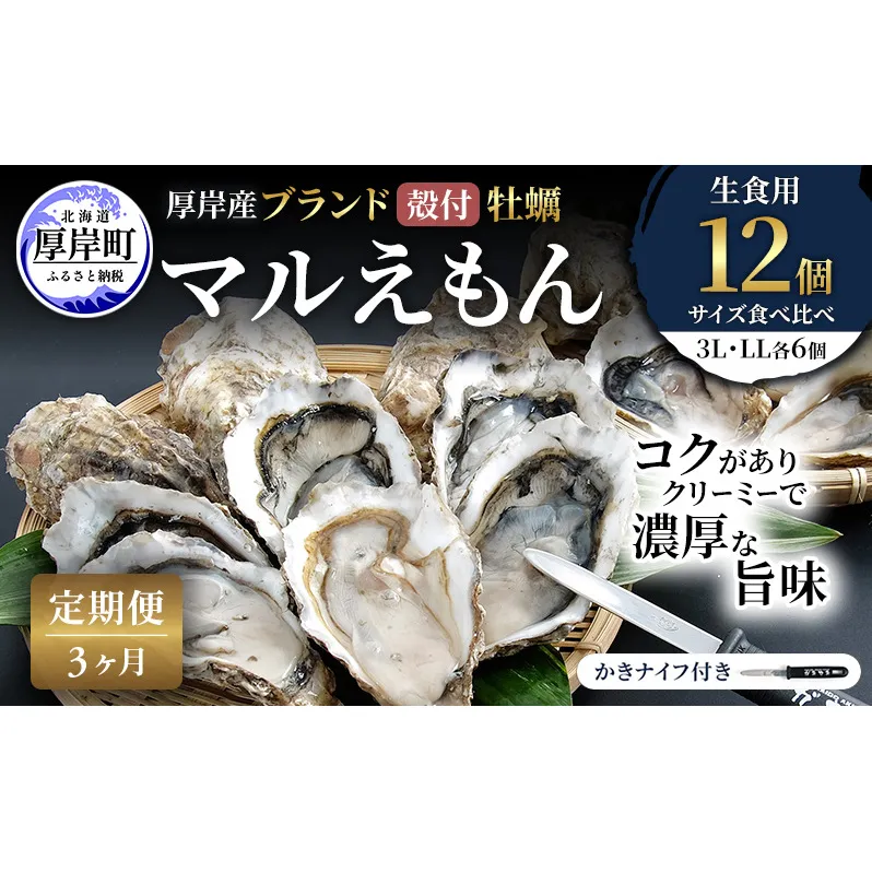 【 3ヵ月 定期便 】 厚岸産 ブランド 殻付カキ マルえもん 生食用 サイズ食べ比べ 12個 (3L・LL各6個)[ 魚貝類 生牡蠣 かき 牡蠣 カキ 生ガキ 食べ比べ ]