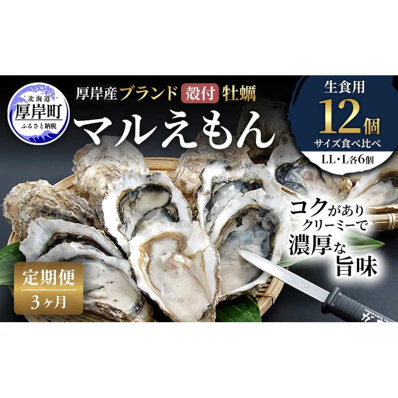 【 3ヵ月 定期便 】 厚岸産 ブランド 殻付カキ マルえもん 生食用 サイズ食べ比べ 12個 (LL・L各6個)[ 魚貝類 生牡蠣 かき 牡蠣 カキ 生ガキ 食べ比べ ]