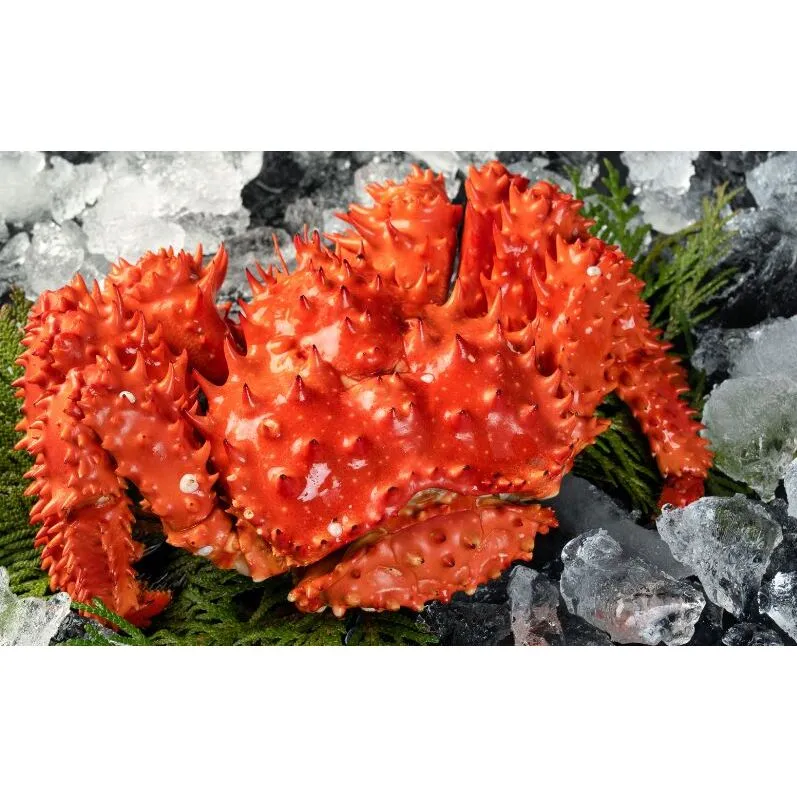 カニ 幻の蟹 厚岸産 浜茹で 花咲がに 1.5kg(3尾～5尾)[ 蟹 かに 新鮮 花咲ガニ 花咲蟹 産地直送 ]