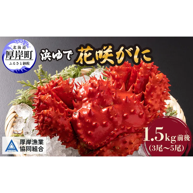 カニ 幻の蟹 厚岸産 浜茹で 花咲がに 1.5kg(3尾～5尾)[ 蟹 かに 新鮮 花咲ガニ 花咲蟹 産地直送 ]