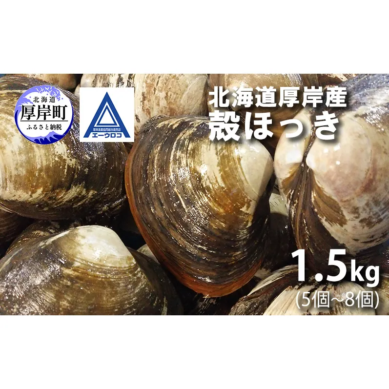 新鮮 北海道 厚岸産 殻ほっき 1.5kg (5個～8個) [ ホッキ 北寄 貝 産地直送 魚介類 バーべキュー ]