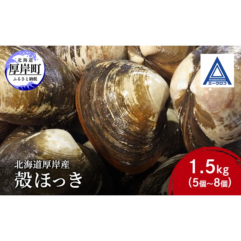 新鮮 北海道 厚岸産 殻ほっき 1.5kg (5個～8個) [ ホッキ 北寄 貝 産地直送 魚介類 バーべキュー ]