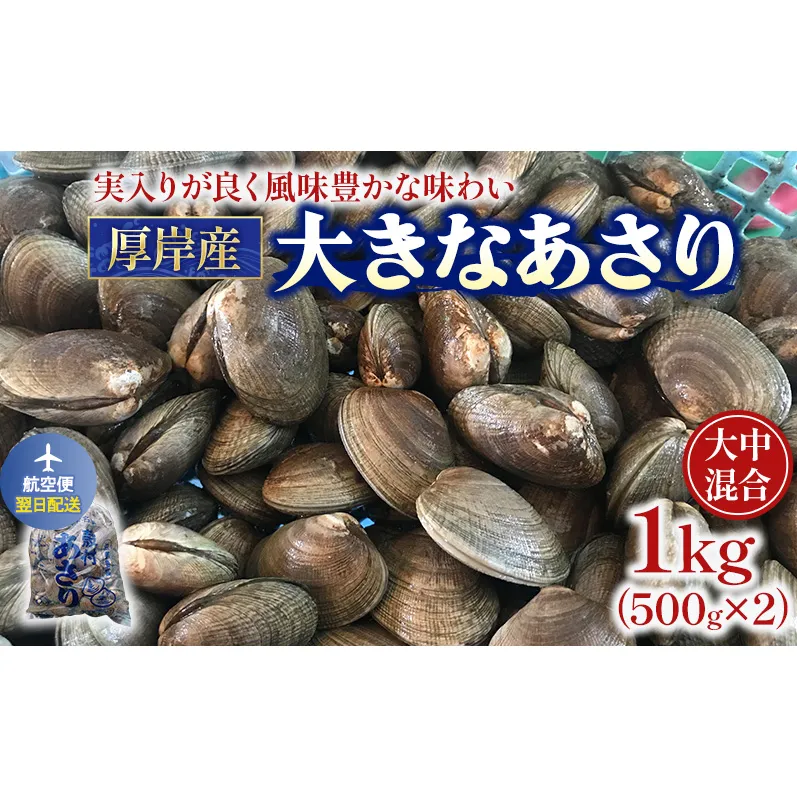 翌日配送 航空便 北海道 厚岸産 あさり 500g×2パック (合計1kg) 大中混合 アサリ 魚貝 海 美味しい 栄養 旨み 砂出し 水洗い 冷蔵 冷凍保存可能 便利