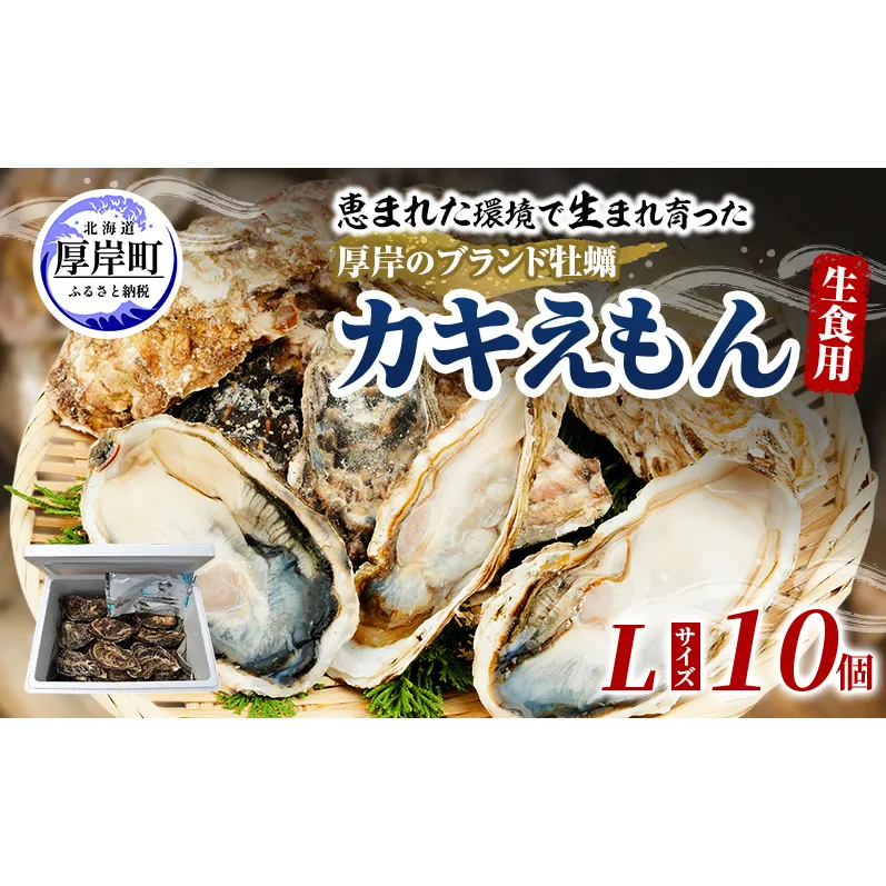 牡蠣 厚岸のブランド牡蠣 生食用 カキえもん Lサイズ 10個  [ 魚貝類 海鮮 海のミルク 国産 生食用殻付き牡蠣 まろやか クリーミー 食べやすい品種 海の香り 牡蠣の酒蒸し 焼き牡蠣  ]