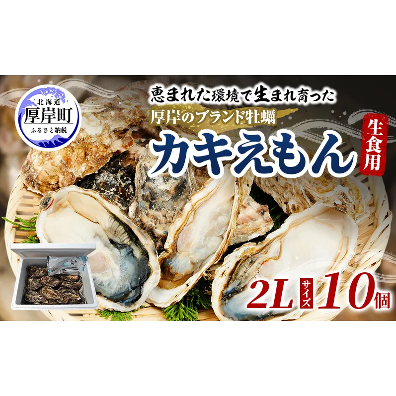 牡蠣 厚岸のブランド牡蠣 生食用 カキえもん 2Lサイズ 10個  [ 魚貝類 海鮮 海のミルク 国産 生食用殻付き牡蠣 まろやか クリーミー 食べやすい品種 海の香り 牡蠣の酒蒸し 焼き牡蠣  ]
