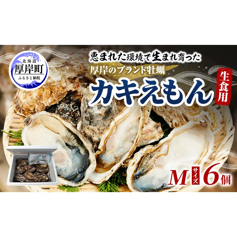 牡蠣 厚岸のブランド牡蠣 生食用 カキえもん Mサイズ 6個  [ 魚貝類 海鮮 海のミルク 国産 生食用殻付き牡蠣 まろやか クリーミー 食べやすい品種 海の香り 牡蠣の酒蒸し 焼き牡蠣  ]