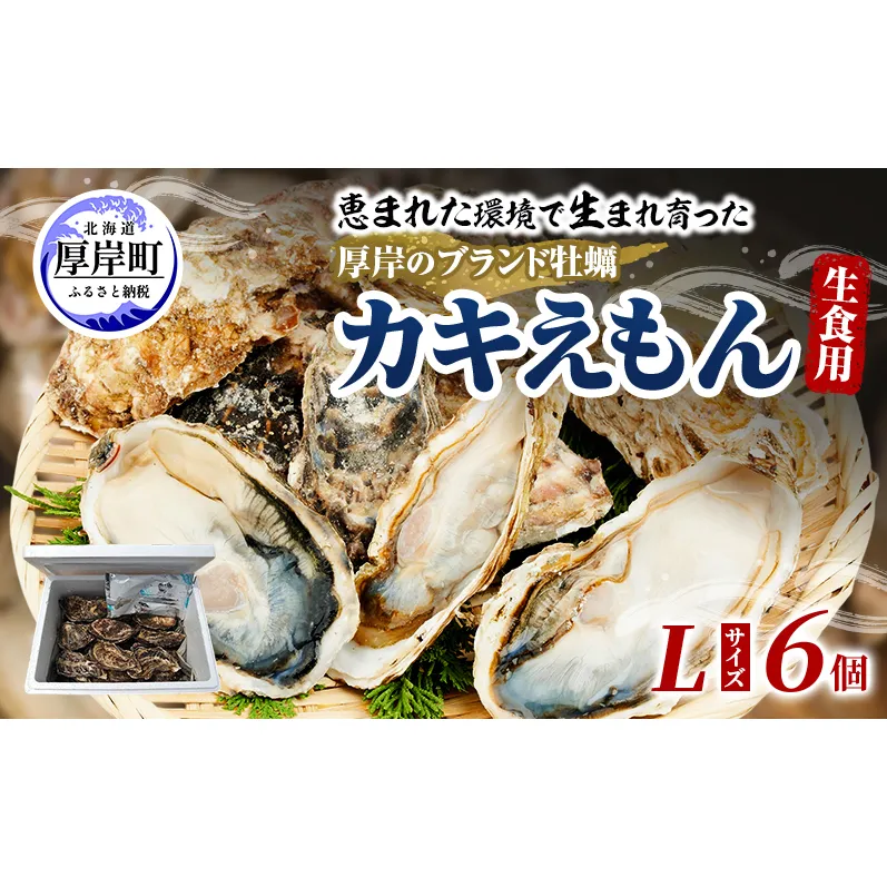 牡蠣 厚岸のブランド牡蠣 生食用 カキえもん Lサイズ 6個  [ 魚貝類 海鮮 海のミルク 国産 生食用殻付き牡蠣 まろやか クリーミー 食べやすい品種 海の香り 牡蠣の酒蒸し 焼き牡蠣  ]