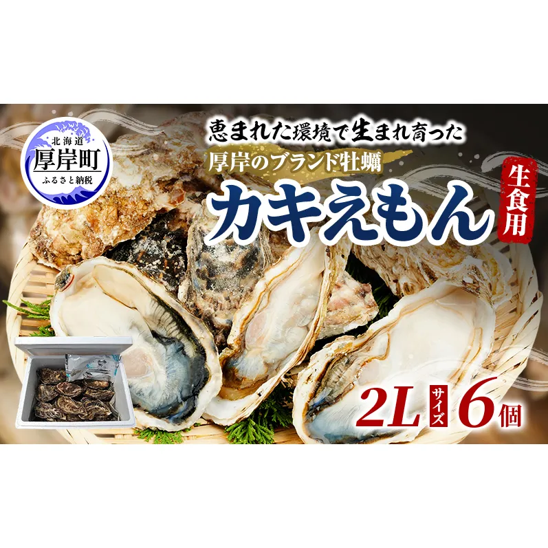 牡蠣 厚岸のブランド牡蠣 生食用 カキえもん 2Lサイズ 6個  [ 魚貝類 海鮮 海のミルク 国産 生食用殻付き牡蠣 まろやか クリーミー 食べやすい品種 海の香り 牡蠣の酒蒸し 焼き牡蠣  ]