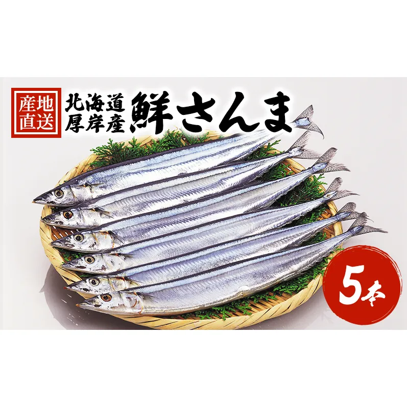 先行予約 産地直送 鮮度抜群 北海道 厚岸産 刺身用 鮮さんま 5本 サンマ 秋刀魚 さんま 鮮魚 魚介類 海産 生さんま