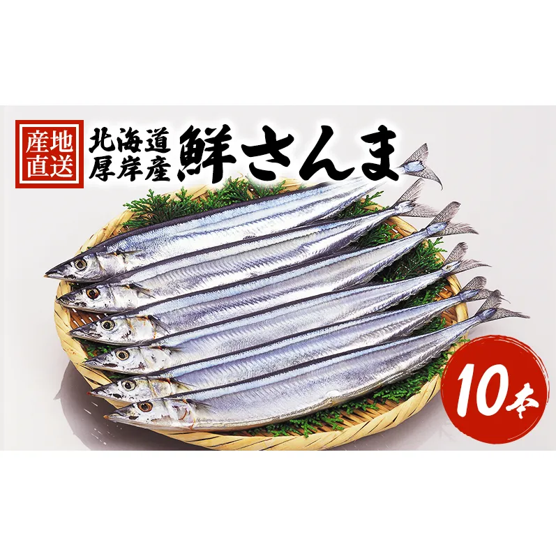 先行予約 産地直送 鮮度抜群 北海道 厚岸産 刺身用 鮮さんま 10本 サンマ 秋刀魚 さんま 鮮魚 魚介類 海産 生さんま