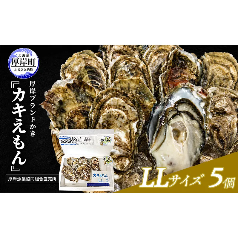 カキ 生食用 北海道 厚岸産 殻かき カキエモン LLサイズ  5個 牡蠣 魚貝類 生牡蠣 殻付き牡蠣 カキ ブランド