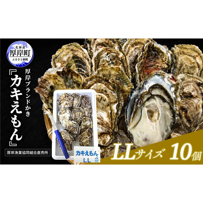 カキ 生食用 北海道 厚岸産 殻かき カキエモン LLサイズ  10個 牡蠣 魚貝類 生牡蠣 殻付き牡蠣 カキ ブランド