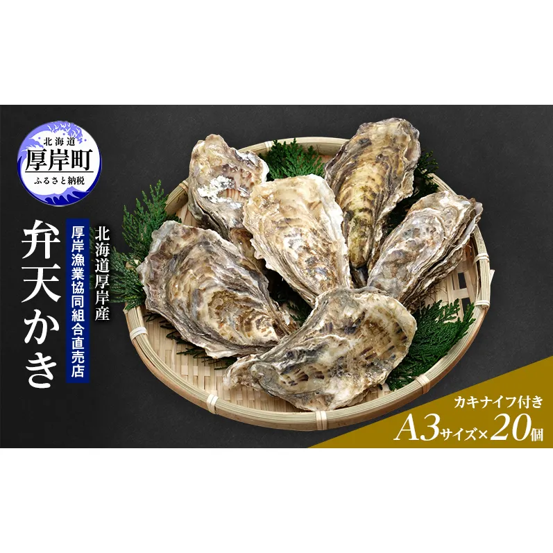カキ 生食用 北海道 厚岸産 殻かき 新ブランド弁天かき A3サイズ  20個 牡蠣 魚貝類 生牡蠣 殻付き牡蠣 カキ