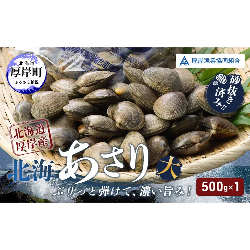 あさり【4月～6月発送】北海道 厚岸町産 天然 殻あさり(大)  500g×1　【厚岸漁業協同組合】[ アサリ 貝 味噌汁 酒蒸し 混ぜご飯 ]