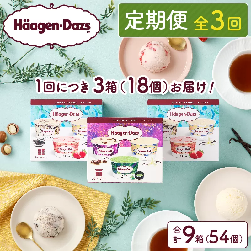 ＜全3回定期便・連続＞ハーゲンダッツ『アソートボックス3箱セット(合計9箱)』アイスクリーム アイス スイーツ デザート_H0016-147
