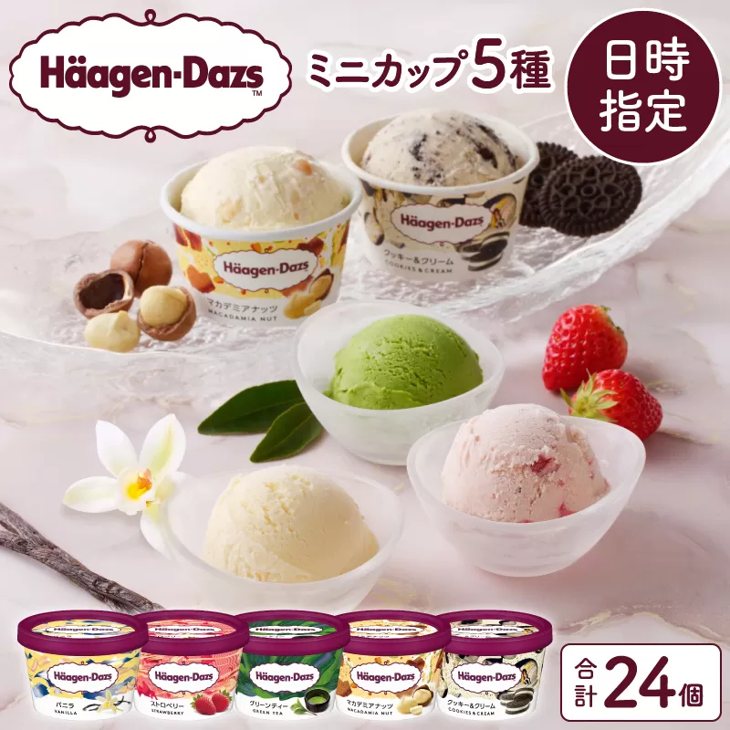 【着日指定できます!!】ハーゲンダッツ『定番ミニカップ5種セット(合計24個)』アイスクリーム アイス スイーツ デザート_H0016-133