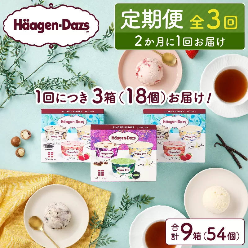 ＜全3回定期便・隔月＞ハーゲンダッツ『アソートボックス3箱セット(合計9箱)』アイスクリーム アイス スイーツ デザート_H0016-150