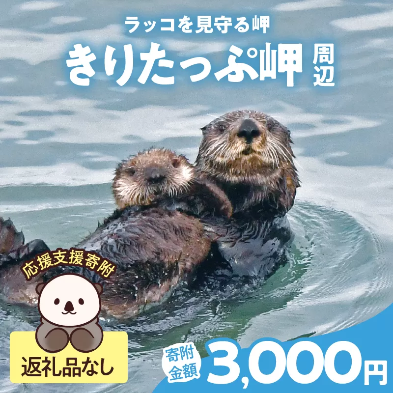ラッコを見守る岬「きりたっぷ岬」周辺の環境整備　3000円分 返礼品なし_H0028-009