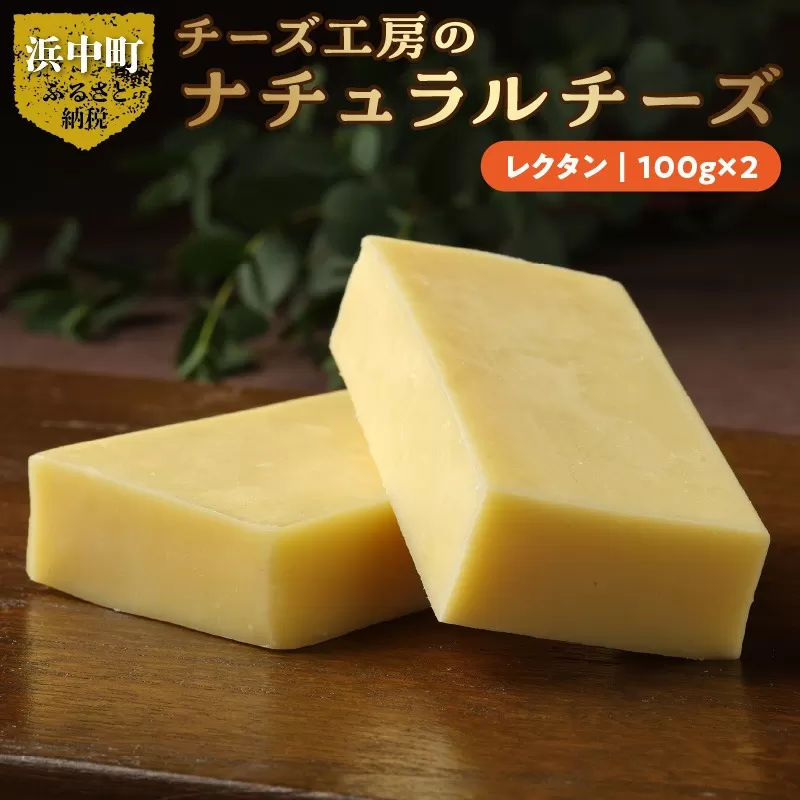 チーズ工房のナチュラルチーズ　レクタン１００ｇ×2_H0003-006