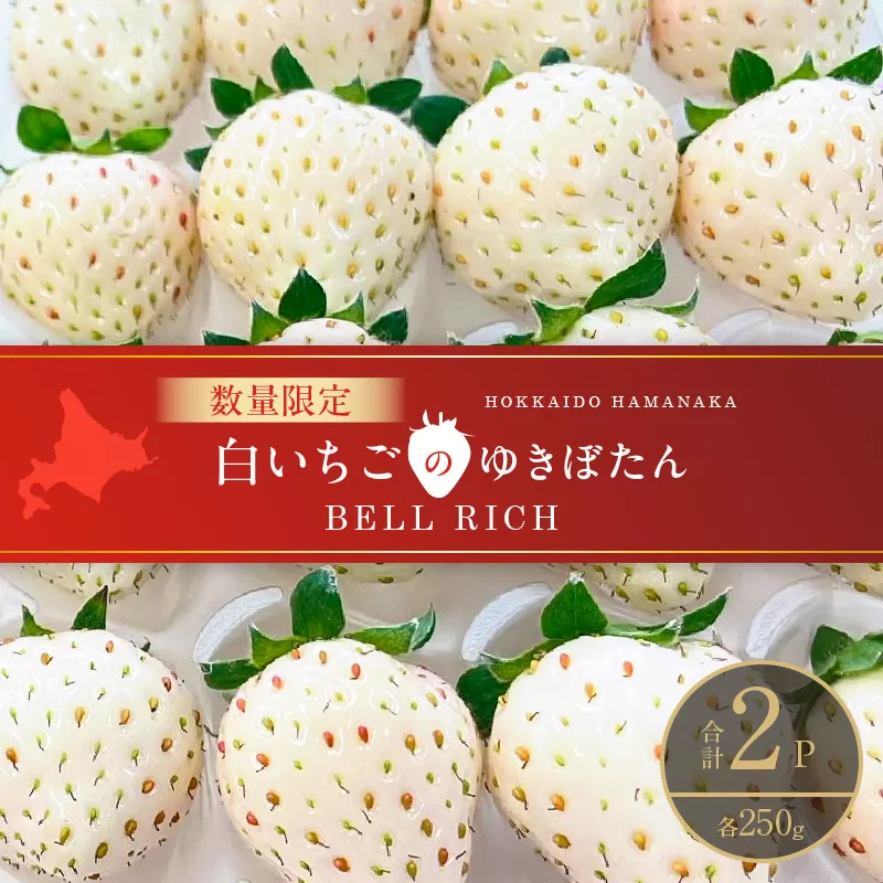 《数量限定》白いちご”ゆきぼたん”(計2パック) BELL RICH_H0049-002