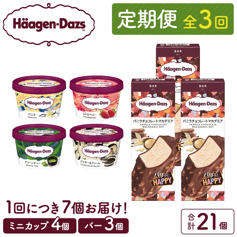＜全3回定期便・連続＞ハーゲンダッツ『ミニカップ＆バーセット(合計21個)』アイスクリーム アイス スイーツ デザート_H0016-172