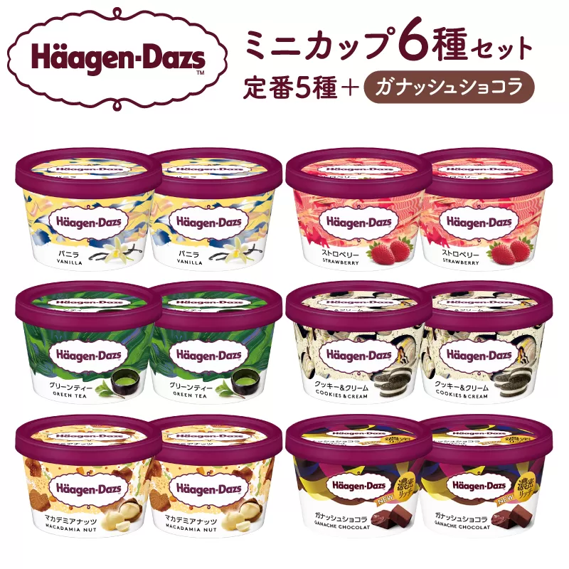 ハーゲンダッツ『ミニカップ12個セット（定番フレーバー＆新商品 ガナッシュショコラ）』アイスクリーム アイス スイーツ デザート_H0016-114