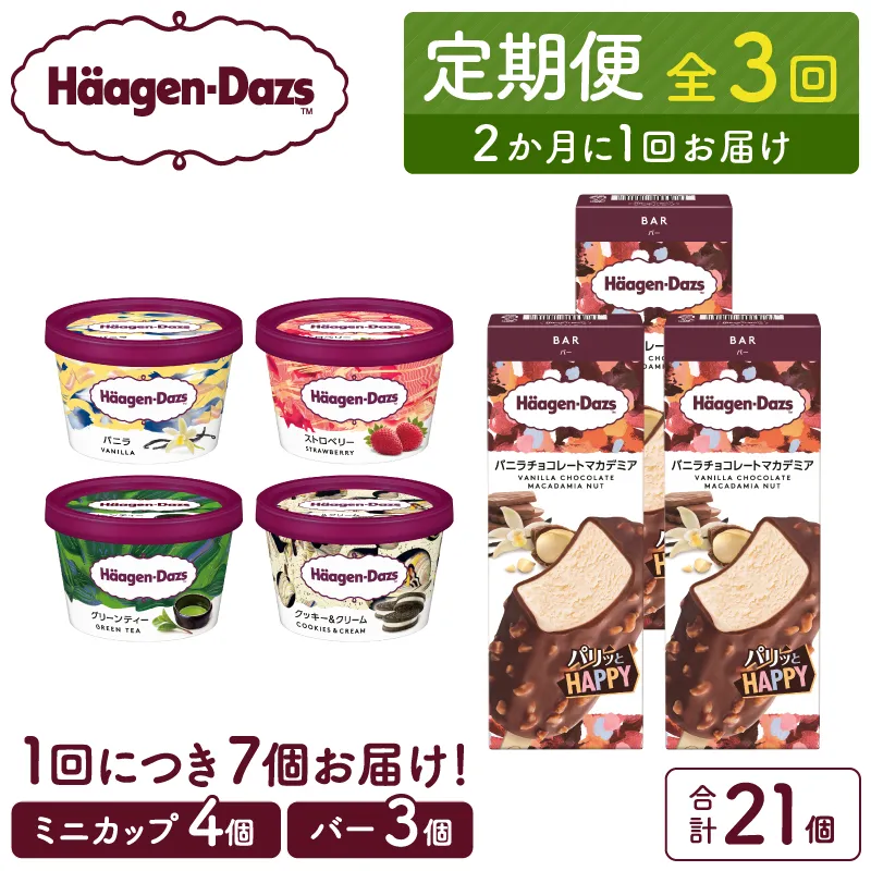 <全3回定期便・隔月>ハーゲンダッツ『ミニカップ&バーセット(合計21個)』アイスクリーム アイス スイーツ デザート_H0016-175