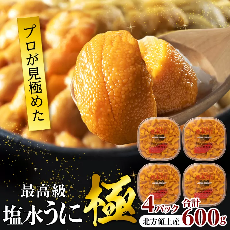 ≪プロ厳選≫最高級塩水うに(極)計600g うに ウニ 雲丹 塩水うに 海鮮 海産物 北海道 浜中町 ふるさと納税 人気_H0014-006