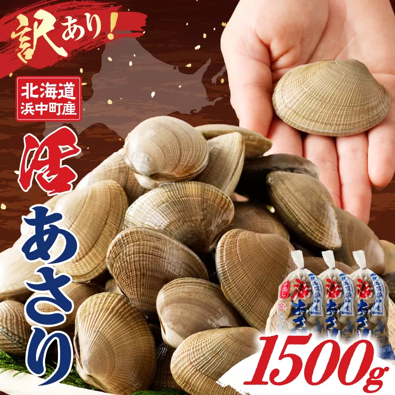【訳あり】4月〜6月発送分《先行予約・期間限定》浜中町産活あさり(500g×3袋セット)_H0023-051