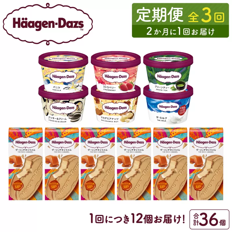 ＜全3回定期便・隔月＞ハーゲンダッツ『ミニカップ＆クリスピーサンドセット(合計36個)』アイスクリーム アイス スイーツ デザート_H0016-140