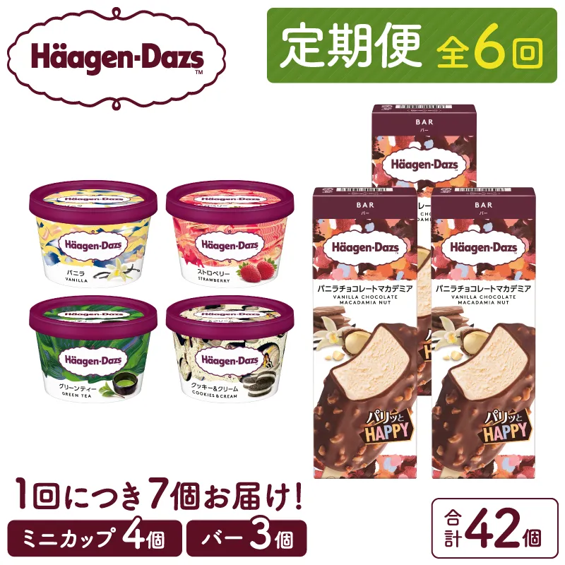 <全6回定期便・連続>ハーゲンダッツ『ミニカップ&バーセット(合計42個)』アイスクリーム アイス スイーツ デザート_H0016-173