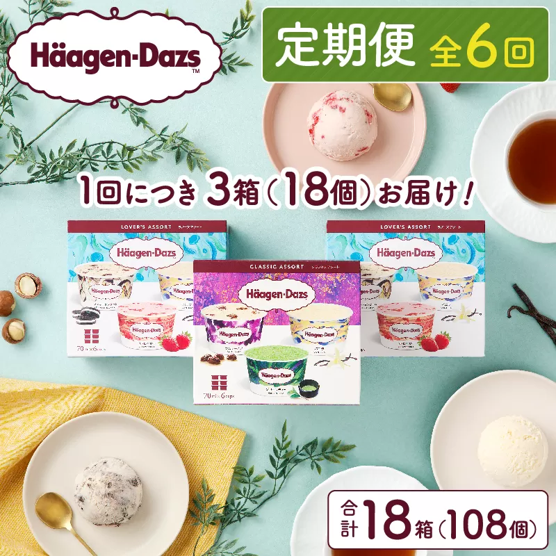 ＜全6回定期便・連続＞ハーゲンダッツ『アソートボックス3箱セット(合計18箱)』アイスクリーム アイス スイーツ デザート_H0016-148