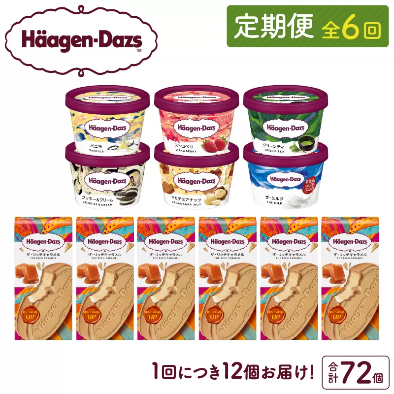 ＜全6回定期便・連続＞ハーゲンダッツ『ミニカップ＆クリスピーサンドセット(合計72個)』アイスクリーム アイス スイーツ デザート_H0026-042