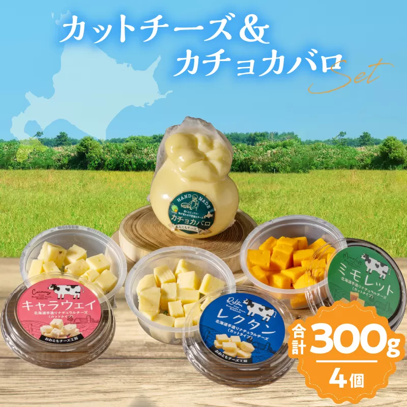 【おおともチーズ工房】《おつまみ＆お料理に!!》カットチーズ＆カチョカバロセット_H0003-020