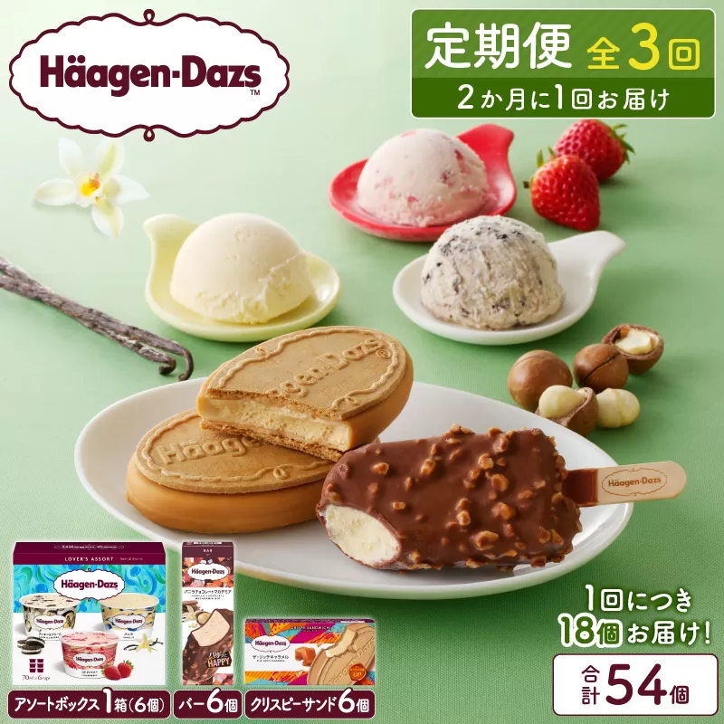 ＜全3回定期便・隔月＞ハーゲンダッツ『3種の贅沢ギフトセット(合計54個)』アイスクリーム アイス スイーツ デザート_H0016-145