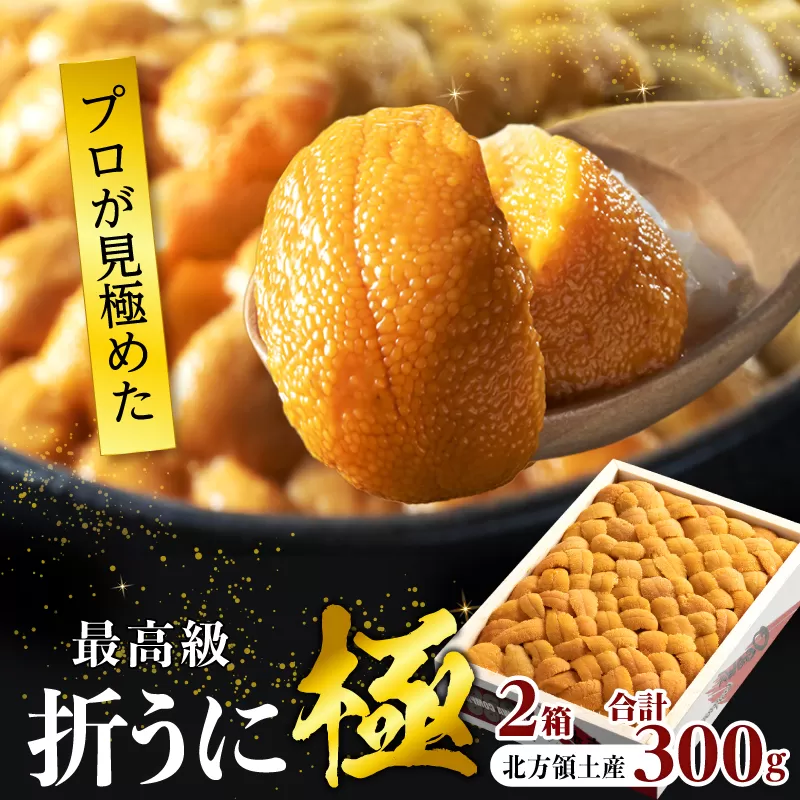 ≪プロ厳選≫最高級折うに(極)計300g うに ウニ 雲丹 折うに 海鮮 海産物 北海道 浜中町 ふるさと納税 人気_H0014-001
