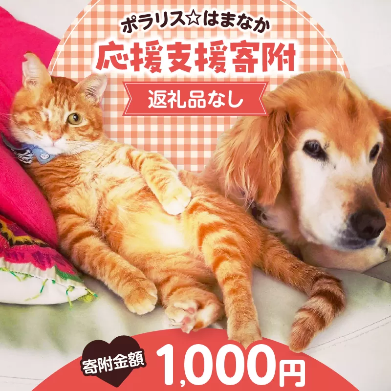 【動物愛護ボランティア】浜中町「ポラリス☆はまなか」を支援 1000円分 返礼品なし_H0048-001