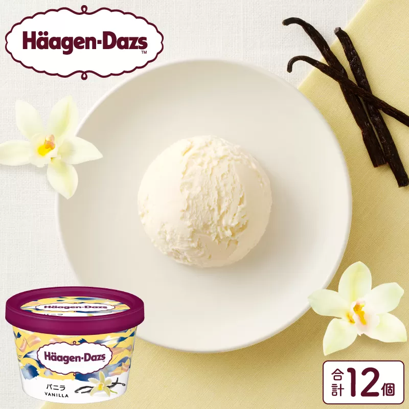 ハーゲンダッツ『ミニカップ12個セット(バニラ味)』アイスクリーム アイス スイーツ デザート_H0016-116