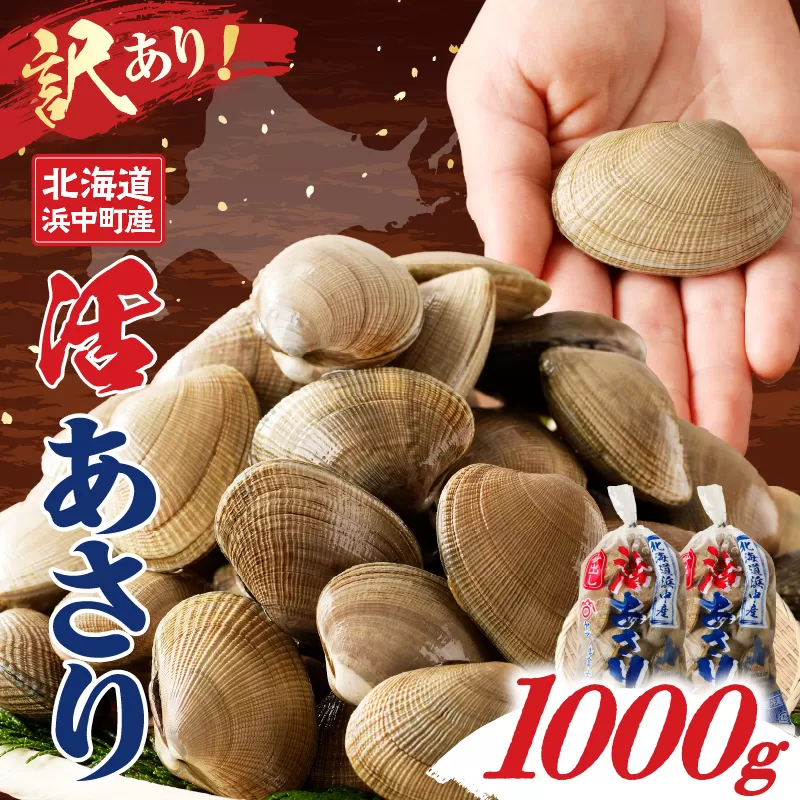 【訳あり】4月〜6月発送分《先行予約・期間限定》浜中町産活あさり(500g×2袋セット)_H0023-049