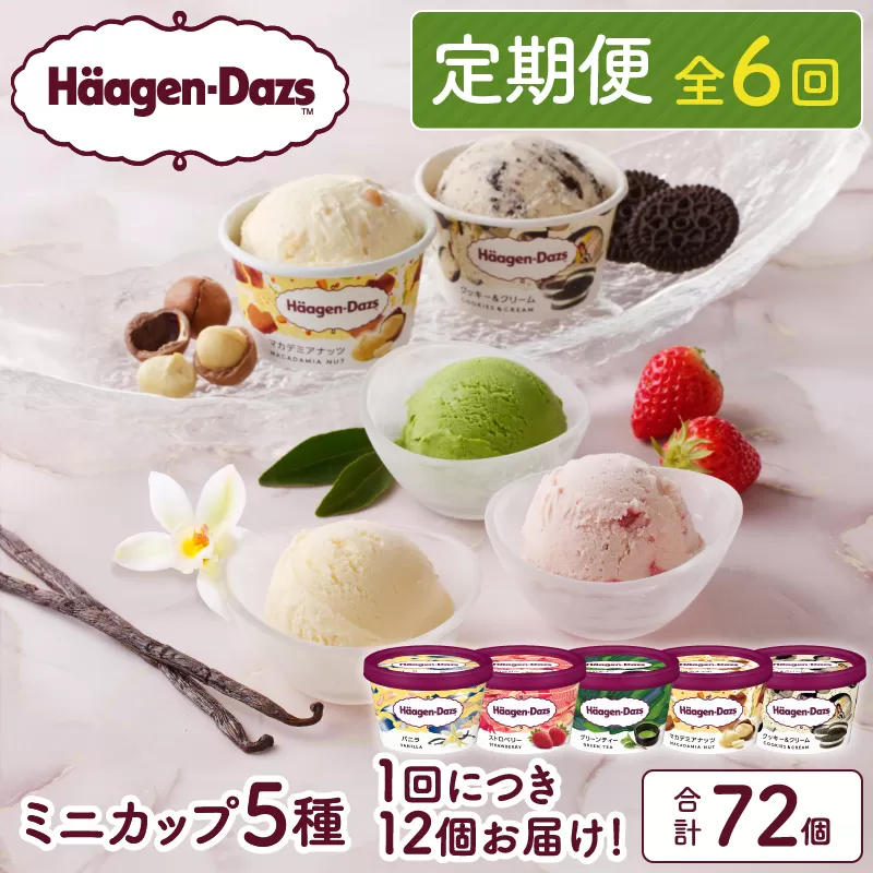 ＜全6回定期便・連続＞ハーゲンダッツ『定番ミニカップフレーバー5種セット(合計72個)』アイスクリーム アイス スイーツ デザート_H0016-158