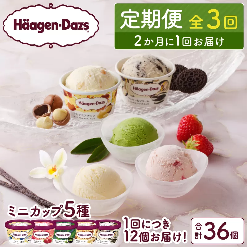 ＜全3回定期便・隔月＞ハーゲンダッツ『定番ミニカップフレーバー5種セット(合計36個)』アイスクリーム アイス スイーツ デザート_H0026-052