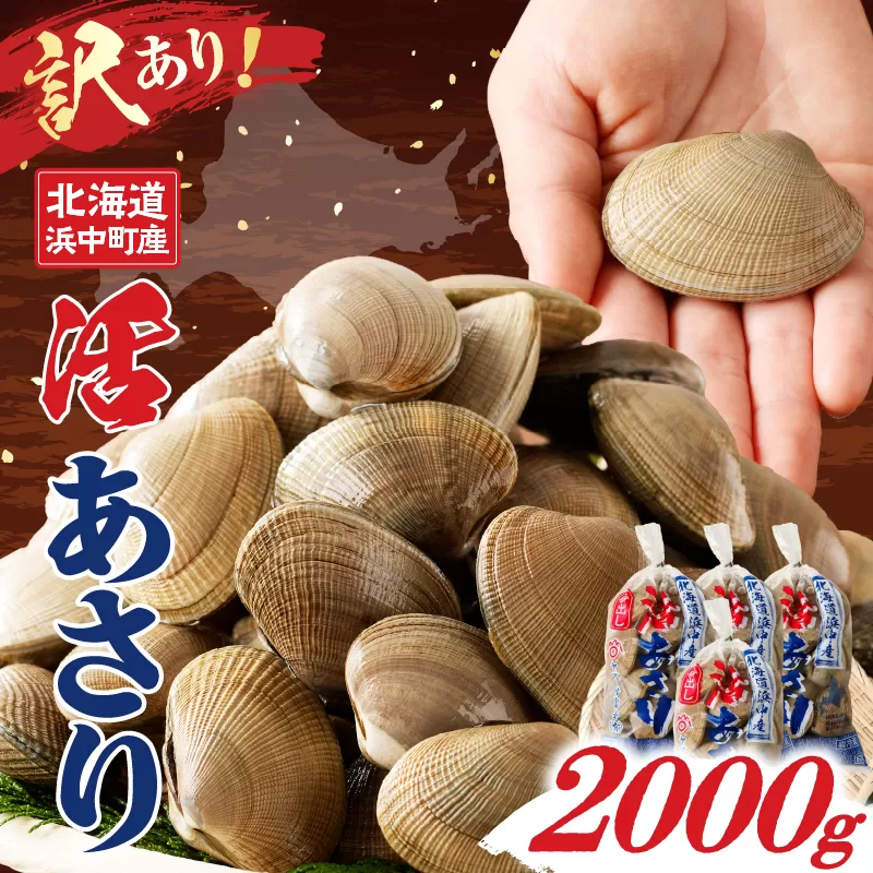【訳あり】4月〜6月発送分《先行予約・期間限定》浜中町産活あさり(500g×4袋セット)_H0023-053