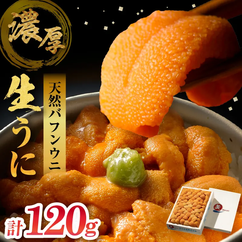 ≪氷温熟成≫生うに(天然バフンウニ)　120g×1枚_H0009-101