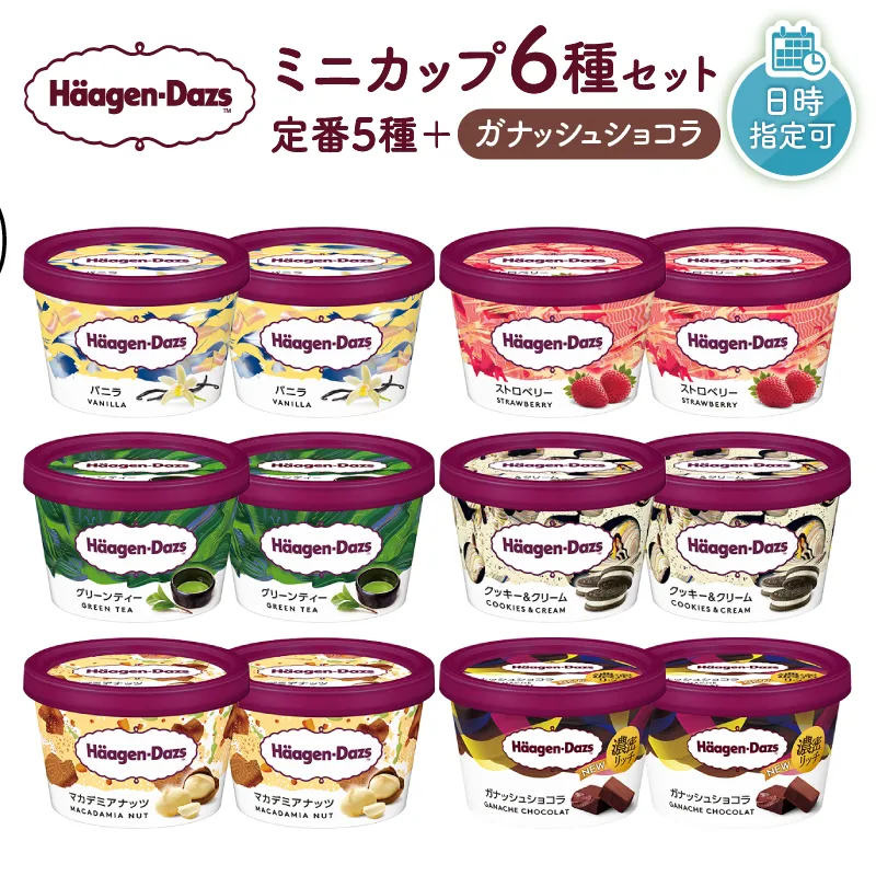 【着日指定できます】ハーゲンダッツ『ミニカップ12個セット（定番フレーバー＆新商品 ガナッシュショコラ）』アイスクリーム アイス スイーツ デザート_H0016-114