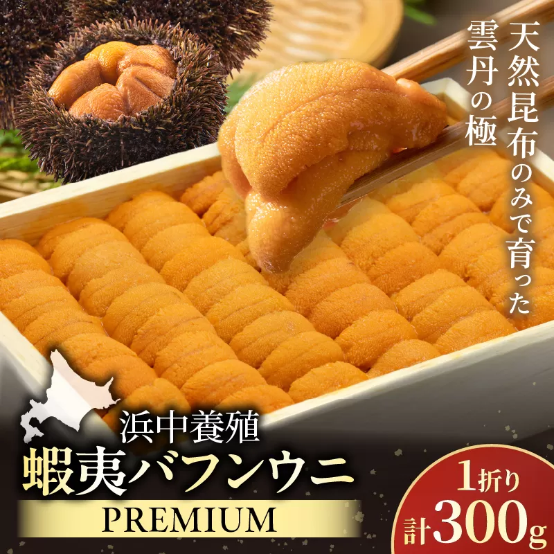 ≪浜中養殖≫蝦夷バフンウニ(300g)折箱入り　300g×一折り_H0038-103