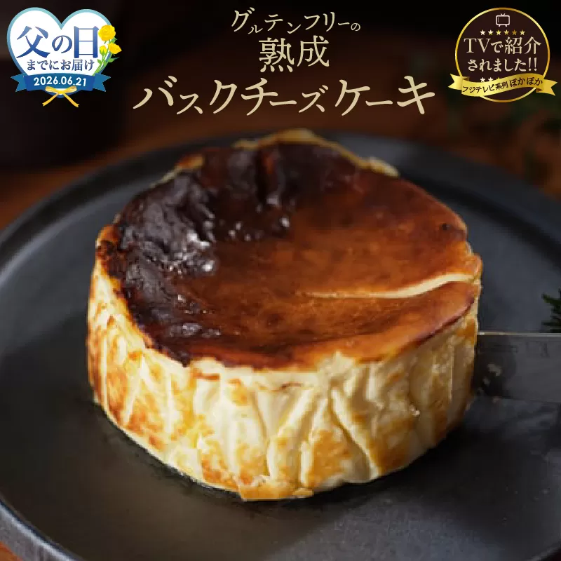 ≪父の日までにお届け!!≫テレビ番組【ヒルナンデスで紹介!!】熟成バスクチーズケーキ_H0041-100-fa